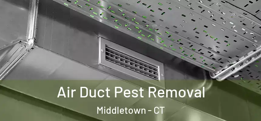 Air Duct Pest Removal Middletown - CT