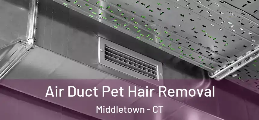  Air Duct Pet Hair Removal Middletown - CT