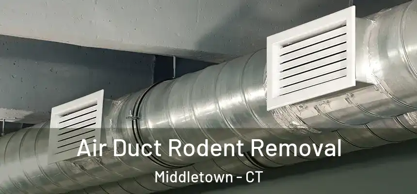 Air Duct Rodent Removal Middletown - CT