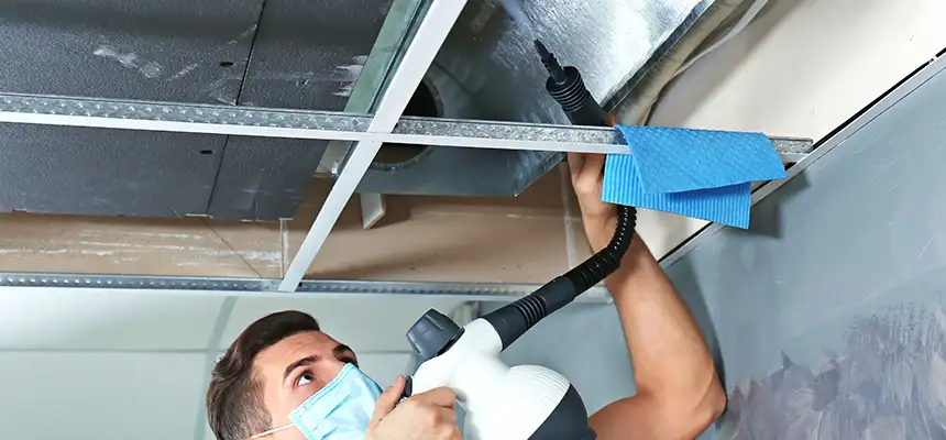 Our Air Duct Rodent Removal Services in Middletown, CT