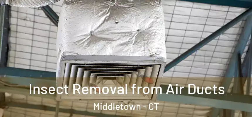 Insect Removal from Air Ducts Middletown - CT