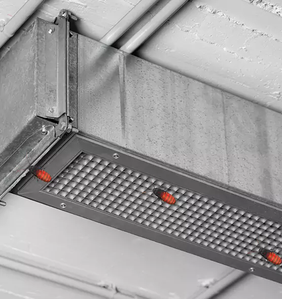 Affordable Insect Removal from Air Ducts in Middletown, CT