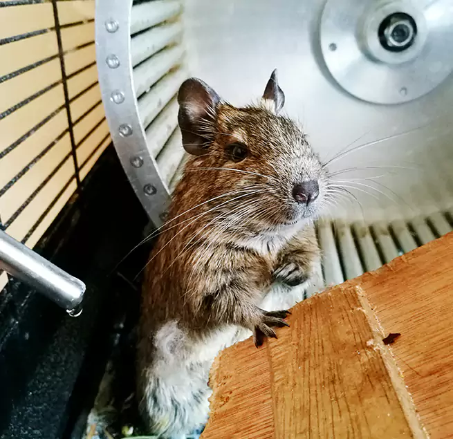 Why Homeowners & Businesses Trust Us Middletown, CT